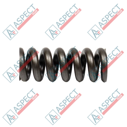 Muelle del pasador central Bosch Rexroth R902028810 SKS