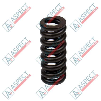 Ressort de l`axe central Bosch Rexroth R902027310 SKS