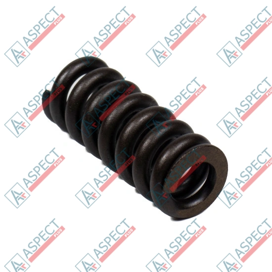 Spring for Center Pin Bosch Rexroth R902027310 SKS