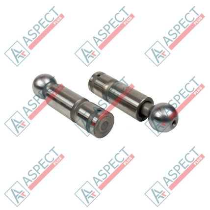 Pistón Bosch Rexroth R909069117 SKS