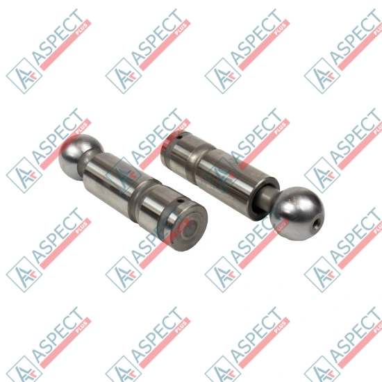 Piston Bosch Rexroth R909069117 SKS