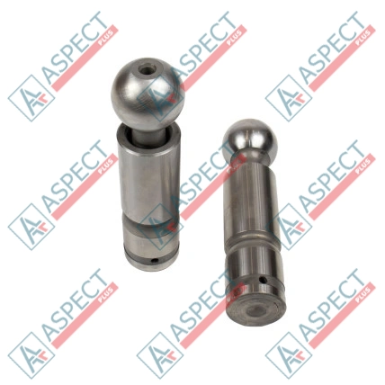 Pistón Bosch Rexroth R909069117 SKS