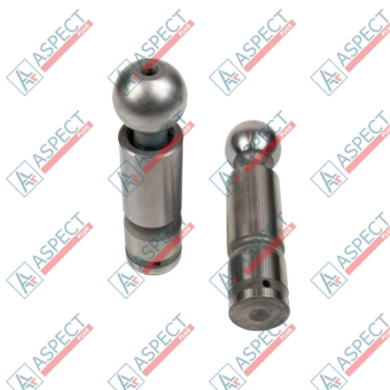 Piston Bosch Rexroth R909069117 SKS