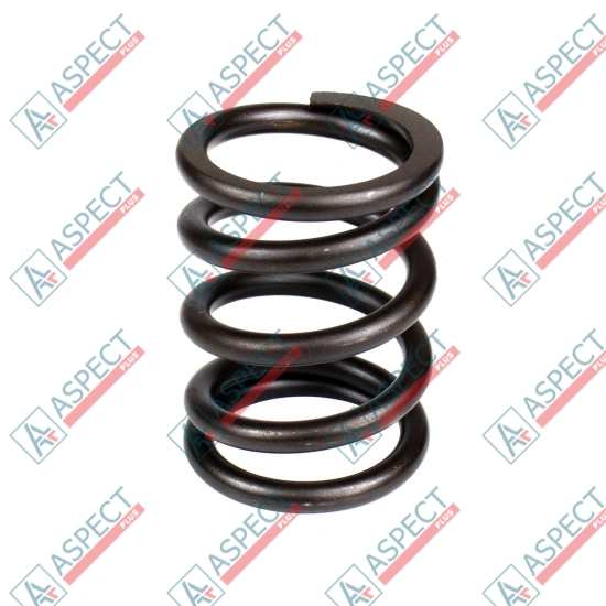 Пружина блока цилиндров Bosch Rexroth R902096389 SKS