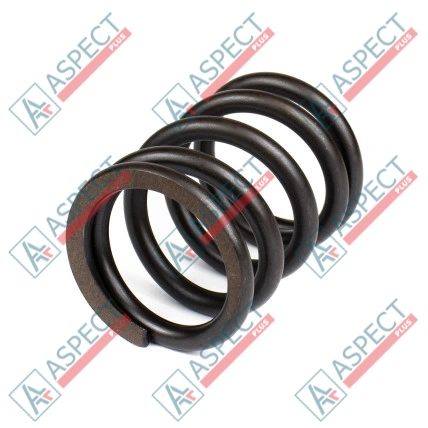 Пружина блока цилиндров Bosch Rexroth R902096389 SKS