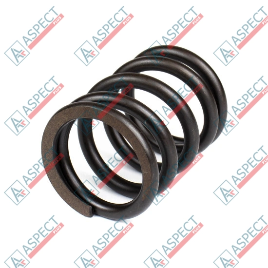 Пружина блока цилиндров Bosch Rexroth R902096389 SKS