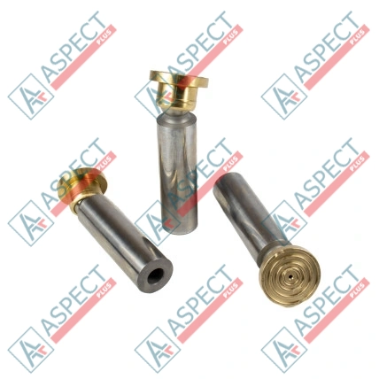 Плунжер с подпятником Bosch Rexroth R902118530 SKS