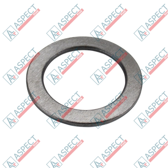 Ball guide Washer Bosch Rexroth R902081969 SKS