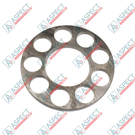 Retainer Plate Bosch Rexroth R910765198 SKS