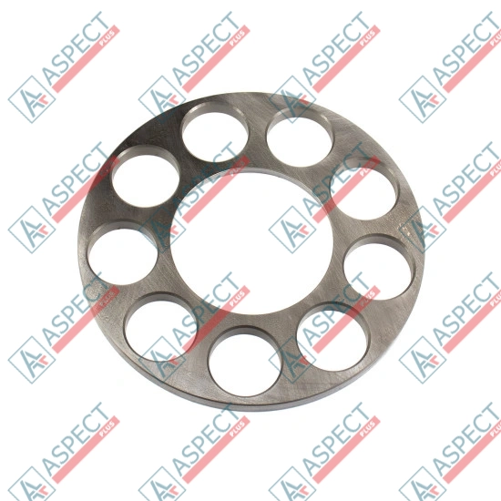 Retainer Plate Bosch Rexroth R910765198 SKS