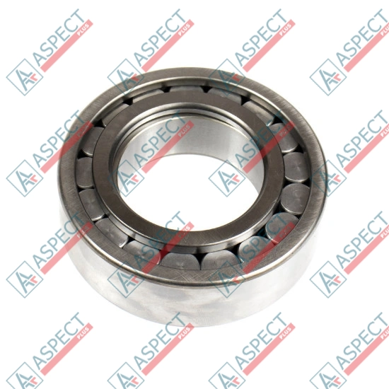 Roller Bearing Bosch Rexroth R910960737 SKS