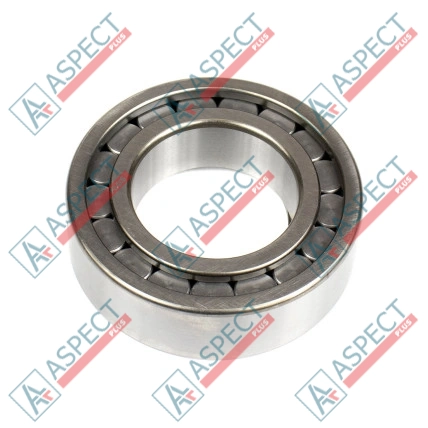 Roulement à rouleaux Bosch Rexroth R910960737 SKS