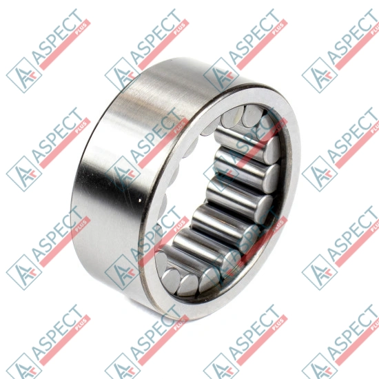 Roller Bearing Bosch Rexroth R909156310 SKS