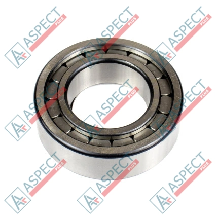 Roulement à rouleaux Bosch Rexroth R910960738 SKS
