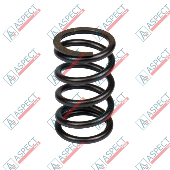 Spring of Rotor Bosch Rexroth R910933409 SKS
