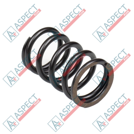 Primăvara rotorului Bosch Rexroth R910933409 SKS