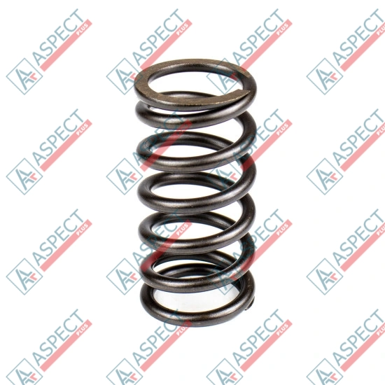 Spring of Rotor Bosch Rexroth R902408916 SKS