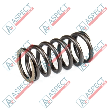 Muelle del rotor Bosch Rexroth R902408916 SKS