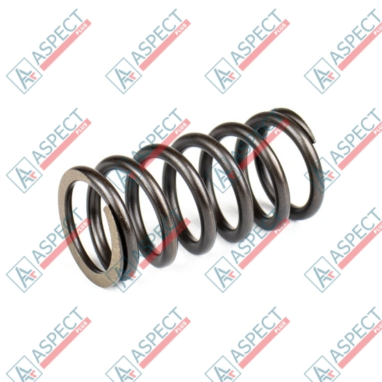 Spring of Rotor Bosch Rexroth R902408916 SKS