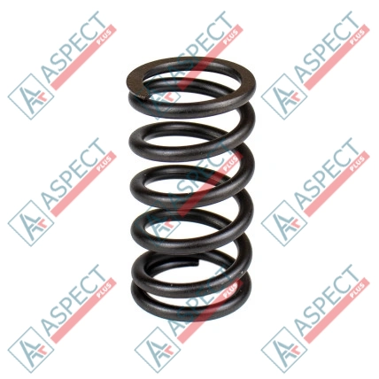 Primăvara rotorului Bosch Rexroth R902436331 SKS