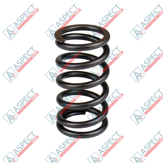 Spring of Rotor Bosch Rexroth R902436331 SKS