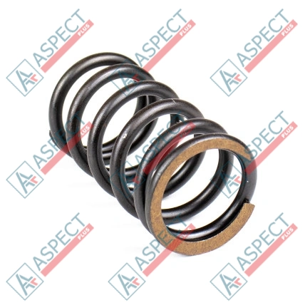 Primăvara rotorului Bosch Rexroth R902436331 SKS