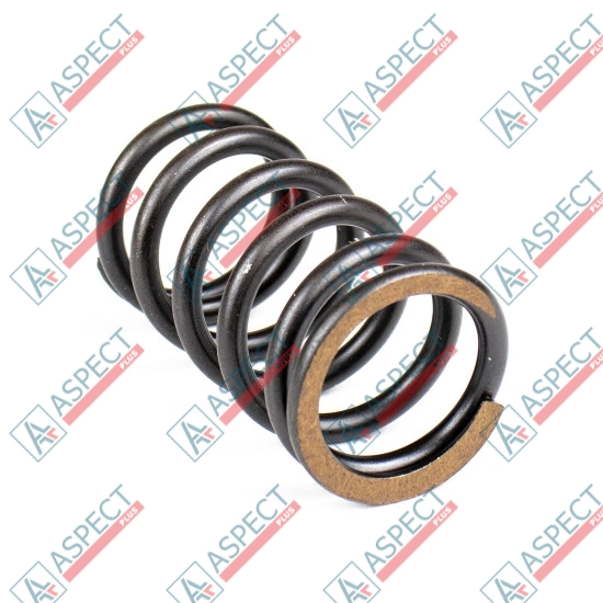 Spring of Rotor Bosch Rexroth R902436331 SKS