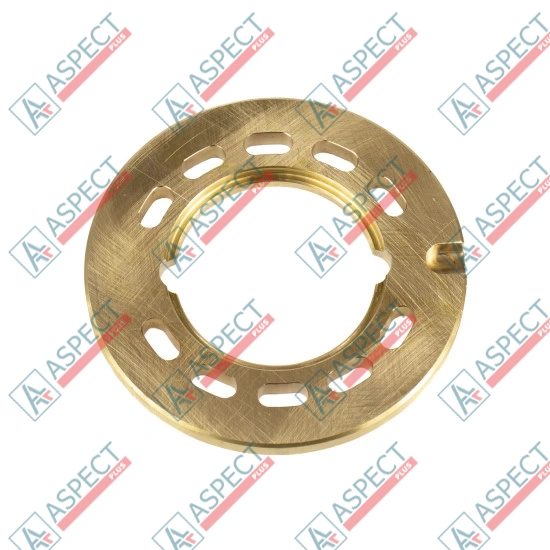 Valve plate Motor Bosch Rexroth R902451666 SKS