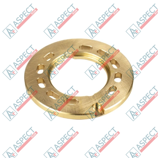 Valve plate Motor Bosch Rexroth R902451666 SKS