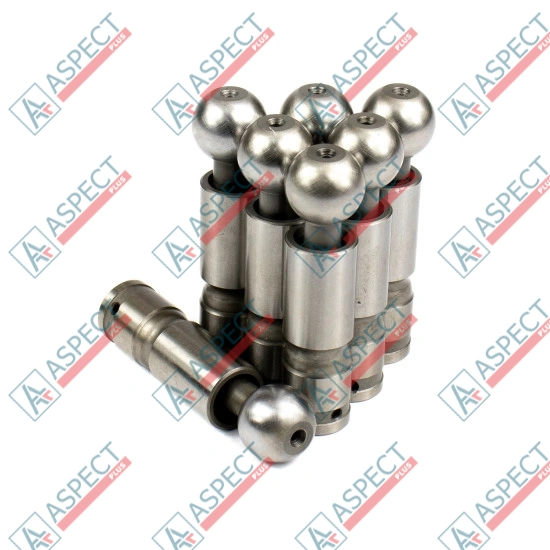 Piston Bosch Rexroth R909069096 SKS