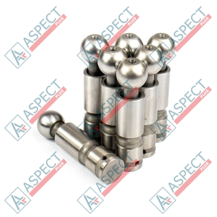 Piston Bosch Rexroth R909069096 SKS
