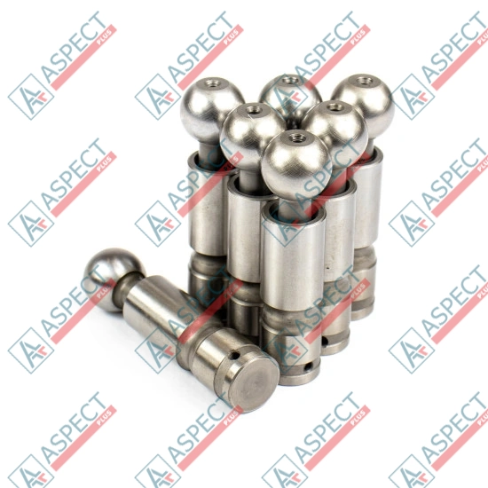 Piston Bosch Rexroth R909069096 SKS