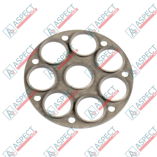 Retainer Plate Bosch Rexroth R909404873 SKS