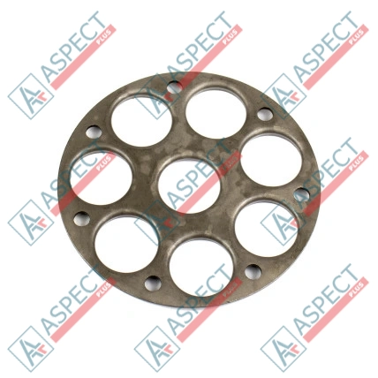 Plaque de maintien Bosch Rexroth R909404873 SKS