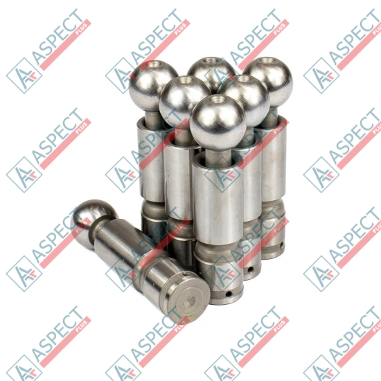 Piston Bosch Rexroth R909406906 SKS