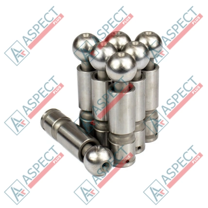 Piston Bosch Rexroth R909406906 SKS