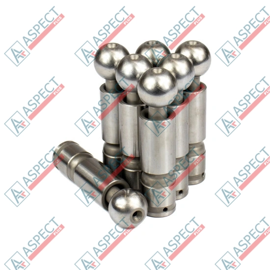 Piston Bosch Rexroth R909406906 SKS