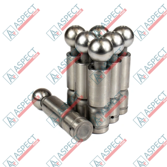 Piston Bosch Rexroth R909409031 SKS