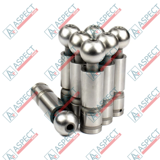Piston Bosch Rexroth R909069123 SKS