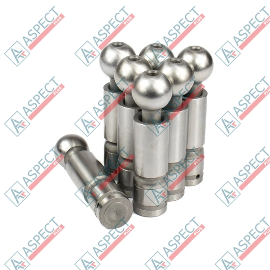 Piston Bosch Rexroth R909069123 SKS