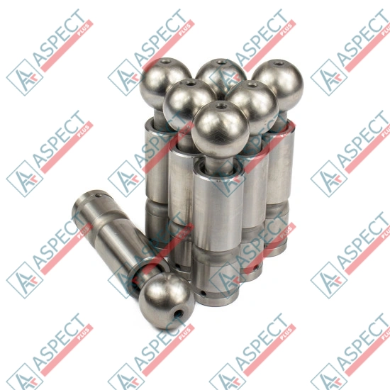 Piston Bosch Rexroth R909069099 SKS