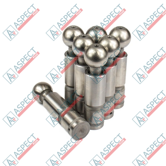 Piston Bosch Rexroth R909069099 SKS
