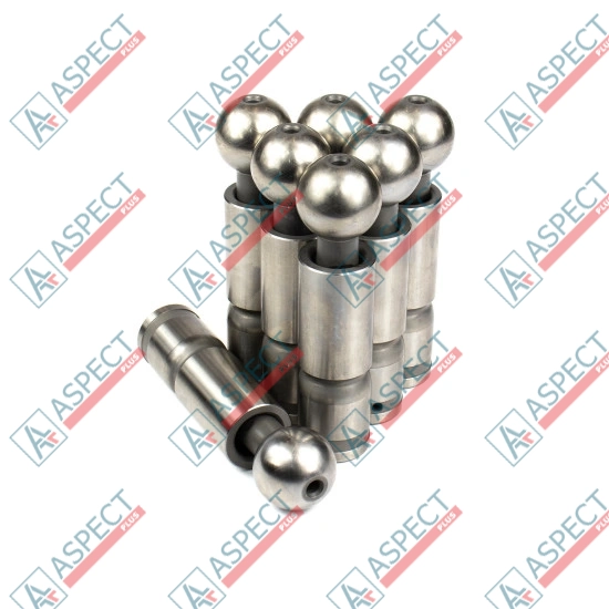 Piston Bosch Rexroth R909069120 SKS