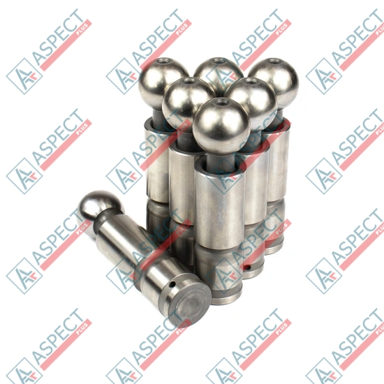Piston Bosch Rexroth R909069120 SKS