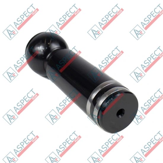 Piston Bosch Rexroth R902102661 SKS