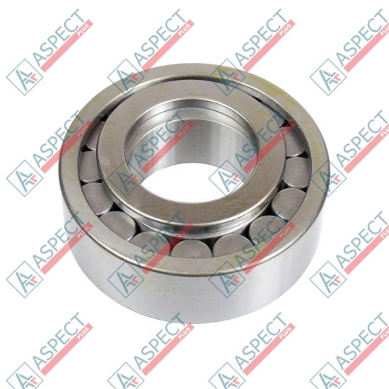 Roller Bearing Bosch Rexroth R909157194 SKS