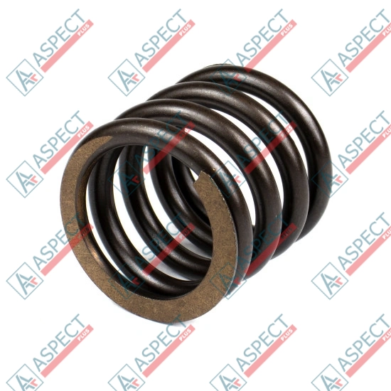 Spring of Rotor Nabtesco 332/E5666 SKS