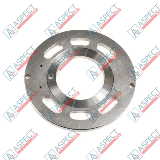 Valve plate Motor Nabtesco GM21, MBEZ061 SKS