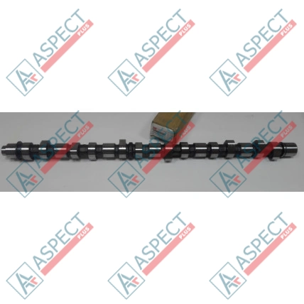 Arbre à cames Isuzu (8976014380) 6HK1 Hitachi, JCB AFM