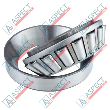 Rodamiento de rodillos cónicos Bosch Rexroth R909156194 Parker NTN